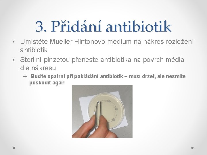 3. Přidání antibiotik • Umístěte Mueller Hintonovo médium na nákres rozložení antibiotik • Sterilní