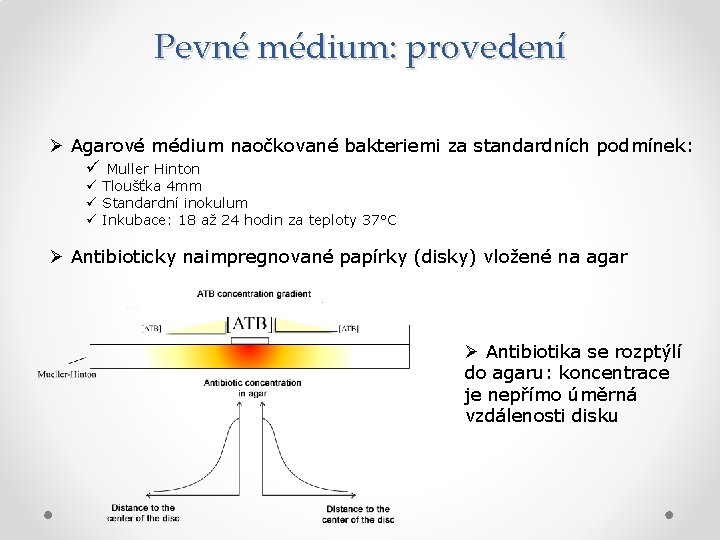 Pevné médium: provedení Ø Agarové médium naočkované bakteriemi za standardních podmínek: ü Muller Hinton