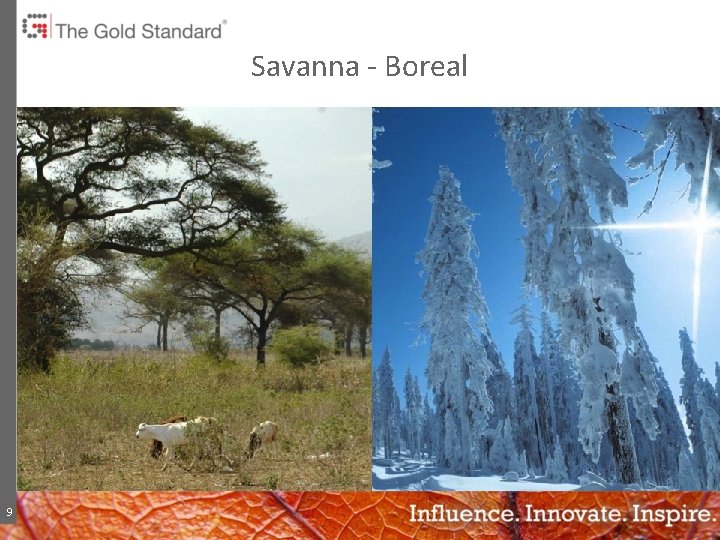 Savanna - Boreal 9 