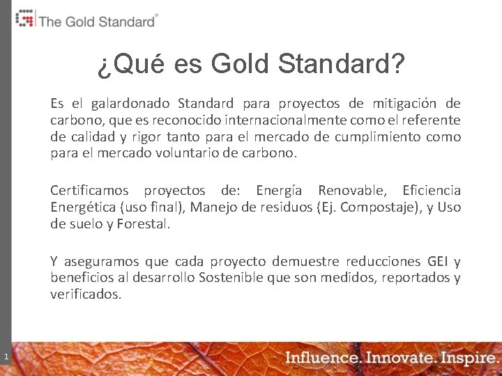 ¿Qué es Gold Standard? Es el galardonado Standard para proyectos de mitigación de carbono,
