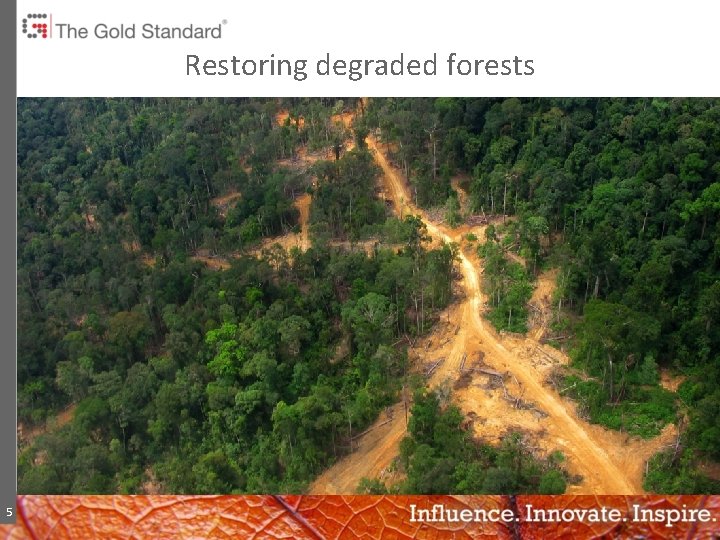 Restoring degraded forests 5 