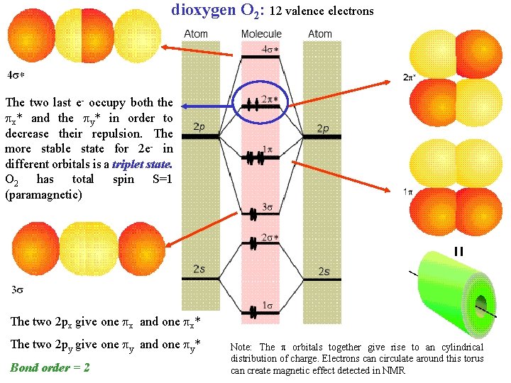 dioxygen O 2: 12 valence electrons The two last e- occupy both the x*