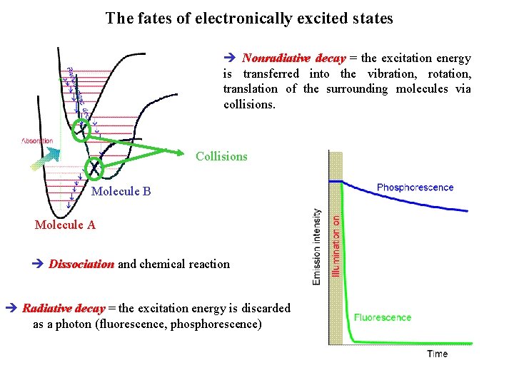 The fates of electronically excited states Nonradiative decay = the excitation energy is transferred