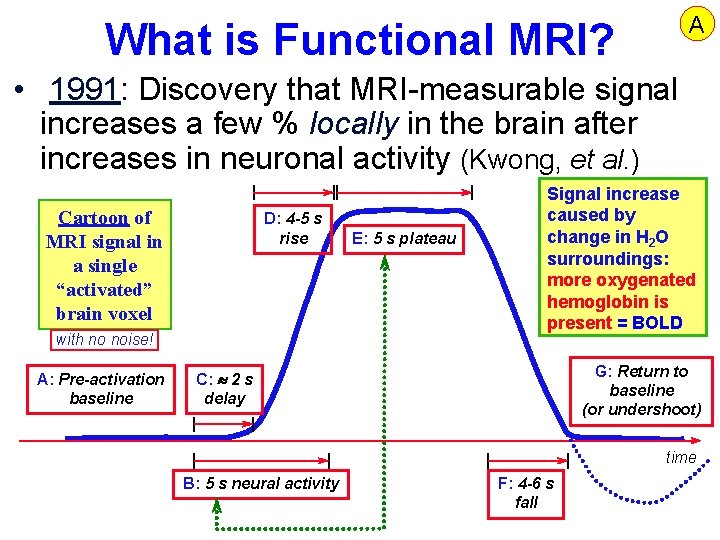 A What is Functional MRI? • 1991: Discovery that MRI-measurable signal increases a few