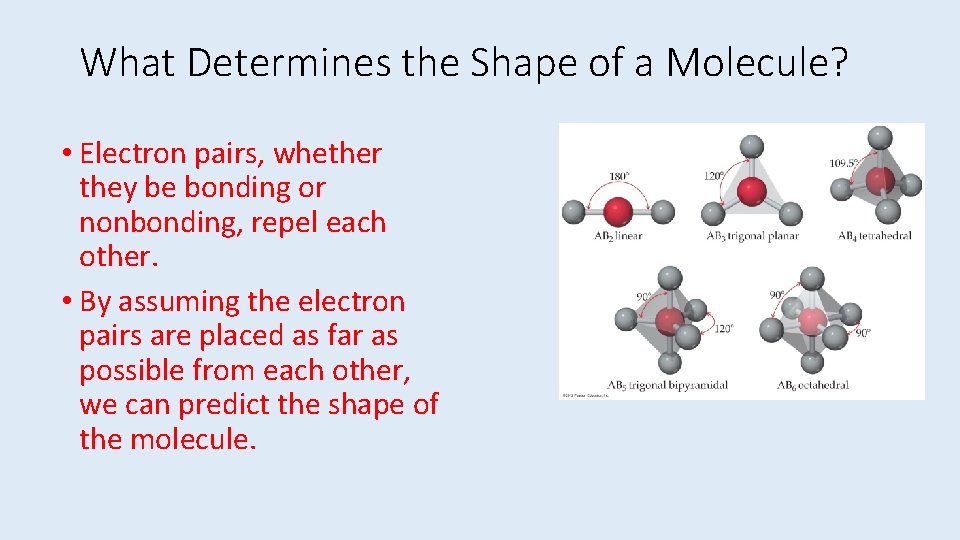 What Determines the Shape of a Molecule? • Electron pairs, whether they be bonding