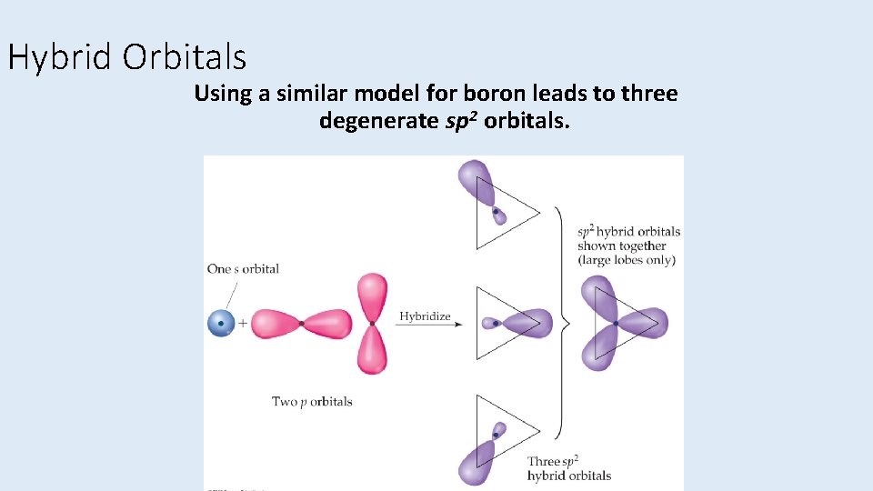 Hybrid Orbitals Using a similar model for boron leads to three degenerate sp 2