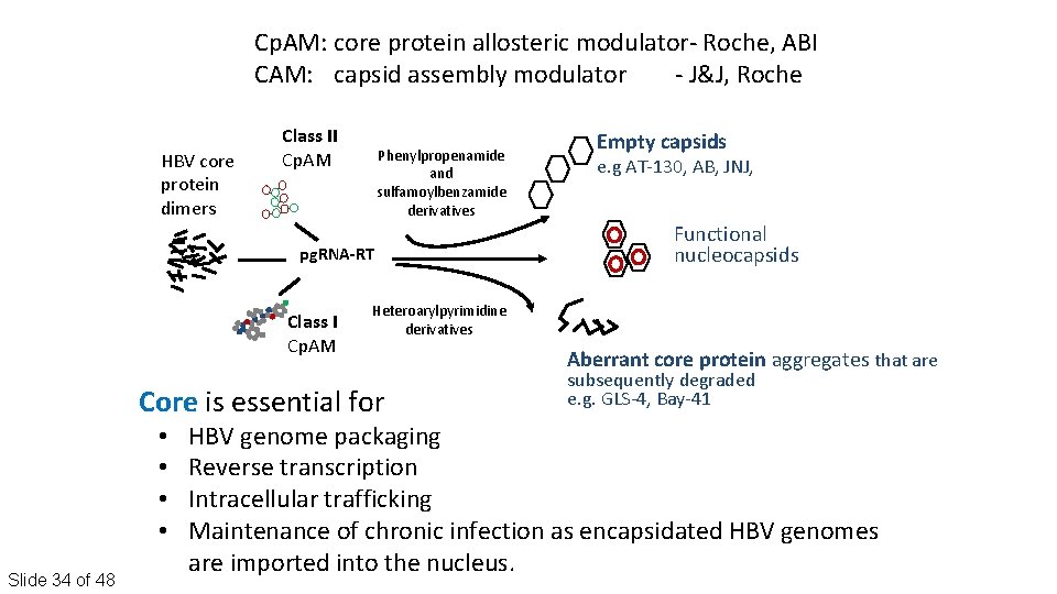 Cp. AM: core protein allosteric modulator‐ Roche, ABI CAM: capsid assembly modulator ‐ J&J,