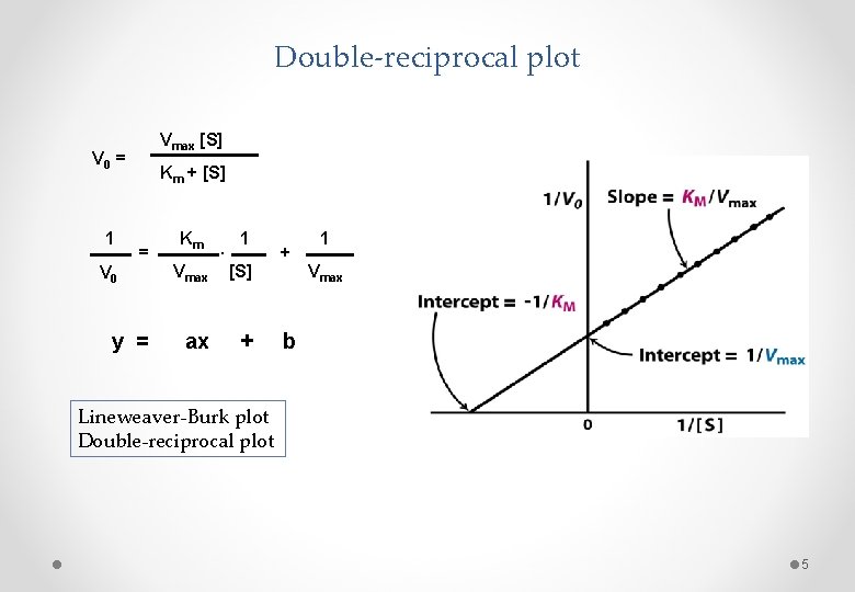 Double-reciprocal plot Vmax [S] V 0 = 1 V 0 Km + [S] =