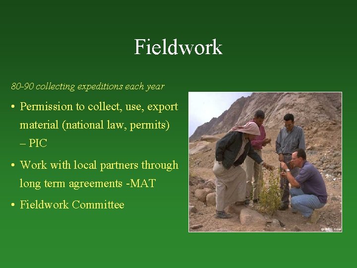 Fieldwork 80 -90 collecting expeditions each year • Permission to collect, use, export material
