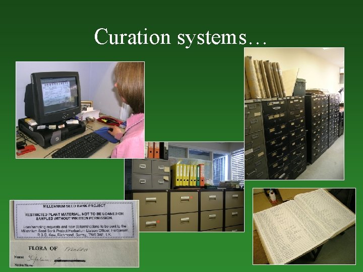Curation systems… 