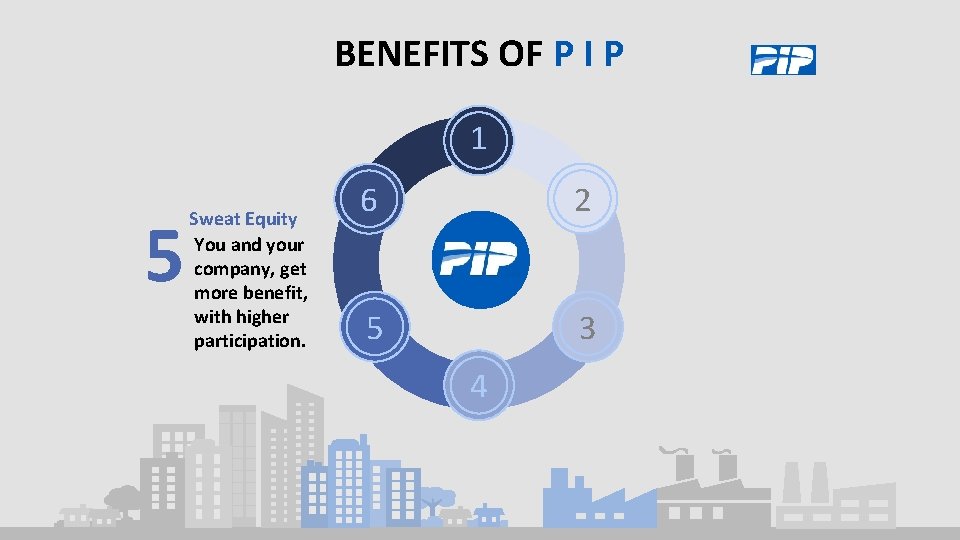 BENEFITS OF P I P 1 5 Sweat Equity You and your company, get