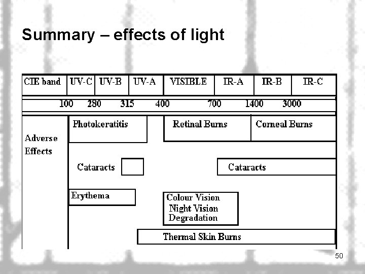 Summary – effects of light 50 