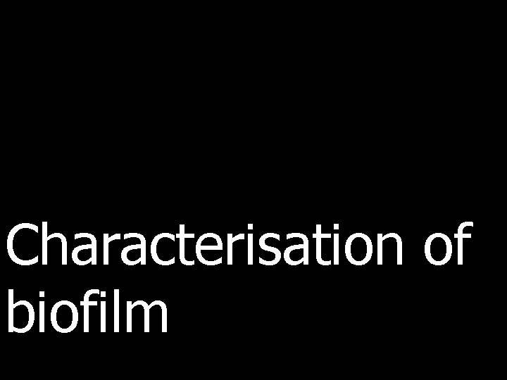 Characterisation of biofilm 