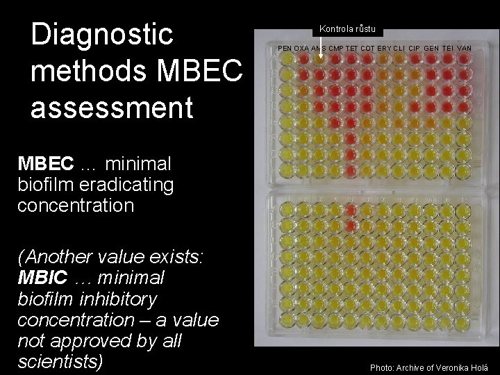 Diagnostic methods MBEC assessment Kontrola růstu PEN OXA AMS CMP TET COT ERY CLI