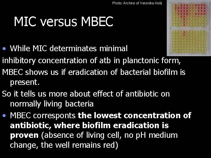 Photo: Archive of Veronika Holá MIC versus MBEC • While MIC determinates minimal inhibitory