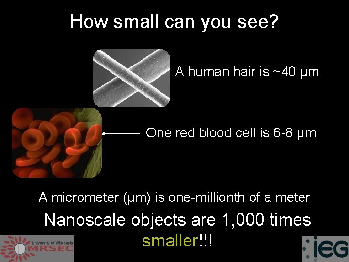 How small can you see? A human hair is ~40 µm One red blood
