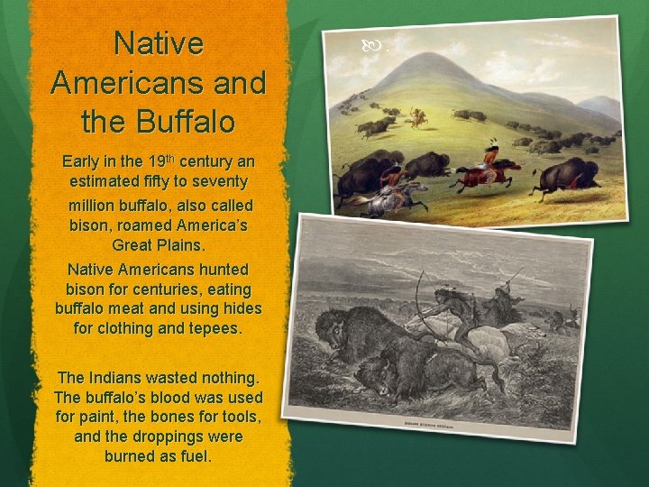 Native Americans and the Buffalo Early in the 19 th century an estimated fifty