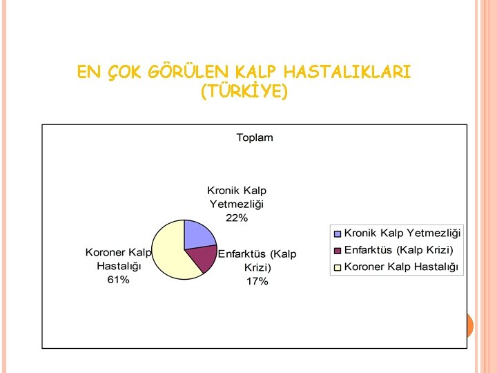 EN ÇOK GÖRÜLEN KALP HASTALIKLARI (TÜRKİYE) 10 0 