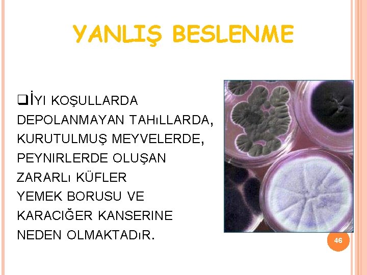 YANLIŞ BESLENME İYI KOŞULLARDA DEPOLANMAYAN TAHıLLARDA, KURUTULMUŞ MEYVELERDE, PEYNIRLERDE OLUŞAN ZARARLı KÜFLER YEMEK BORUSU