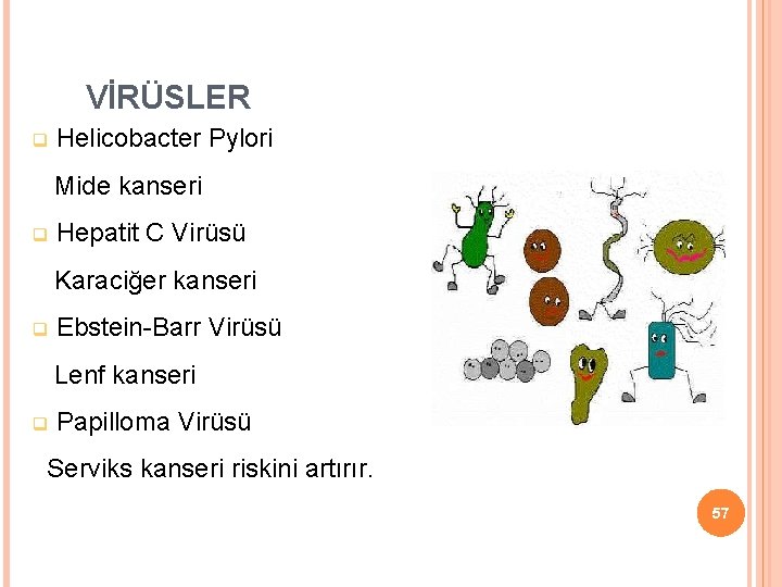 VİRÜSLER Helicobacter Pylori Mide kanseri Hepatit C Virüsü Karaciğer kanseri Ebstein-Barr Virüsü Lenf kanseri