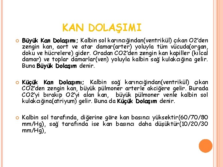 KAN DOLAŞIMI 87 Büyük Kan Dolaşımı; Kalbin sol karıncığından(ventrikül) çıkan O 2’den zengin kan,