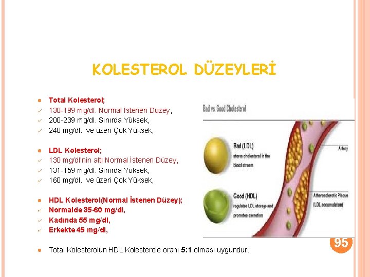 KOLESTEROL DÜZEYLERİ l ü ü ü Total Kolesterol; 130 -199 mg/dl. Normal İstenen Düzey,