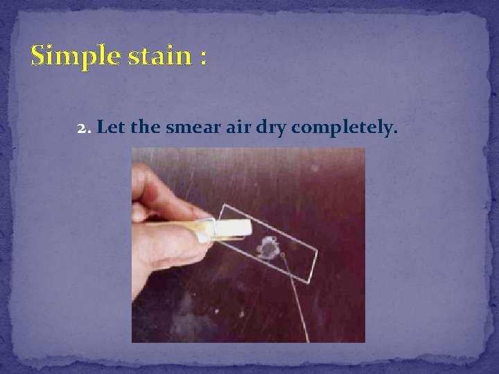 Simple stain : 2. Let the smear air dry completely. 