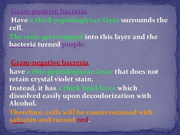 Gram-positive bacteria Have a thick peptidoglycan layer surrounds the cell. The stain gets trapped