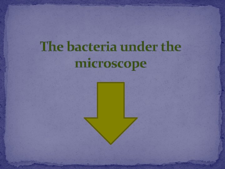 The bacteria under the microscope 