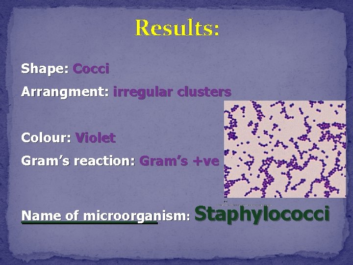 Results: Shape: Cocci Arrangment: irregular clusters Colour: Violet Gram’s reaction: Gram’s +ve Name of