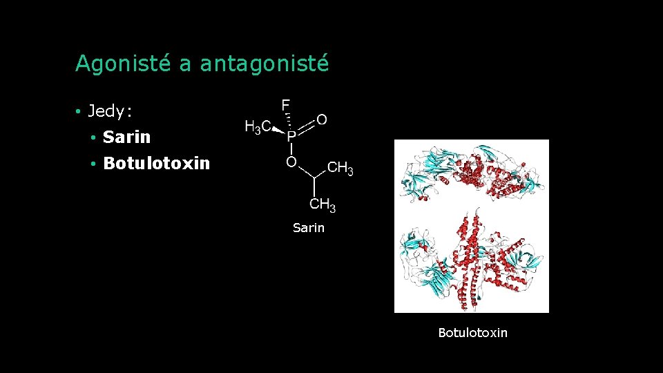Agonisté a antagonisté • Jedy: • Sarin • Botulotoxin Sarin Botulotoxin 