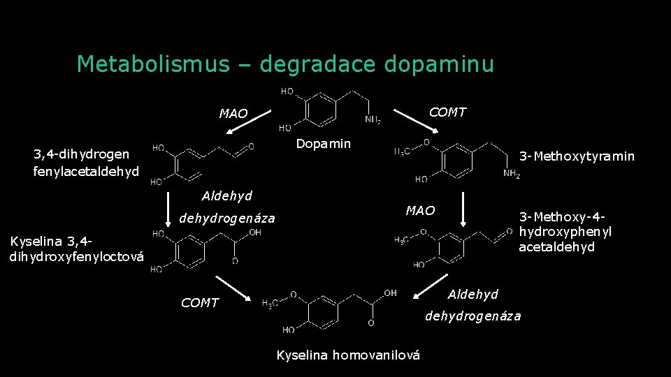 Metabolismus – degradace dopaminu COMT MAO Dopamin 3, 4 -dihydrogen fenylacetaldehyd Aldehydrogenáza 3 -Methoxytyramin