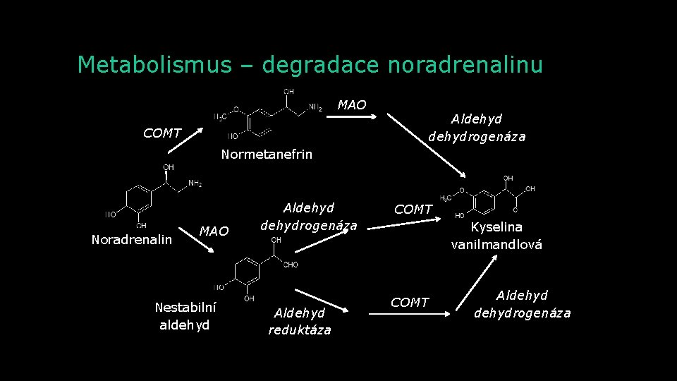 Metabolismus – degradace noradrenalinu MAO Aldehydrogenáza COMT Normetanefrin Noradrenalin MAO Nestabilní aldehyd Aldehydrogenáza Aldehyd