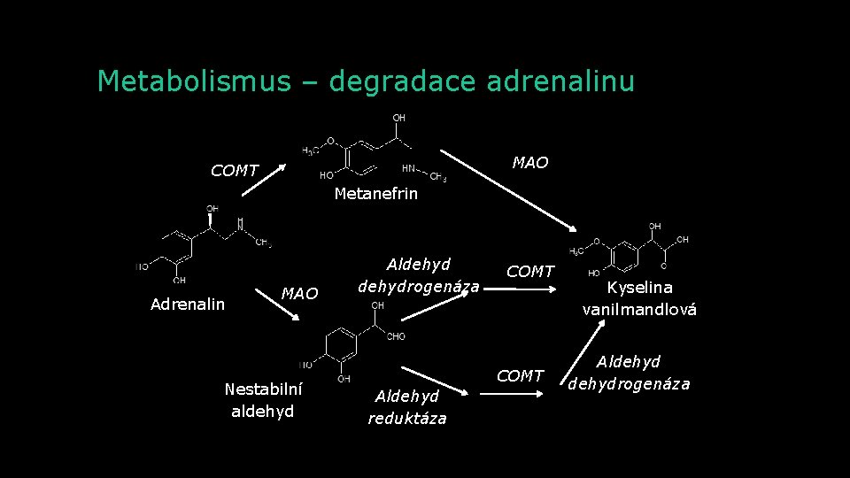 Metabolismus – degradace adrenalinu MAO COMT Metanefrin Adrenalin MAO Nestabilní aldehyd Aldehydrogenáza COMT Aldehyd