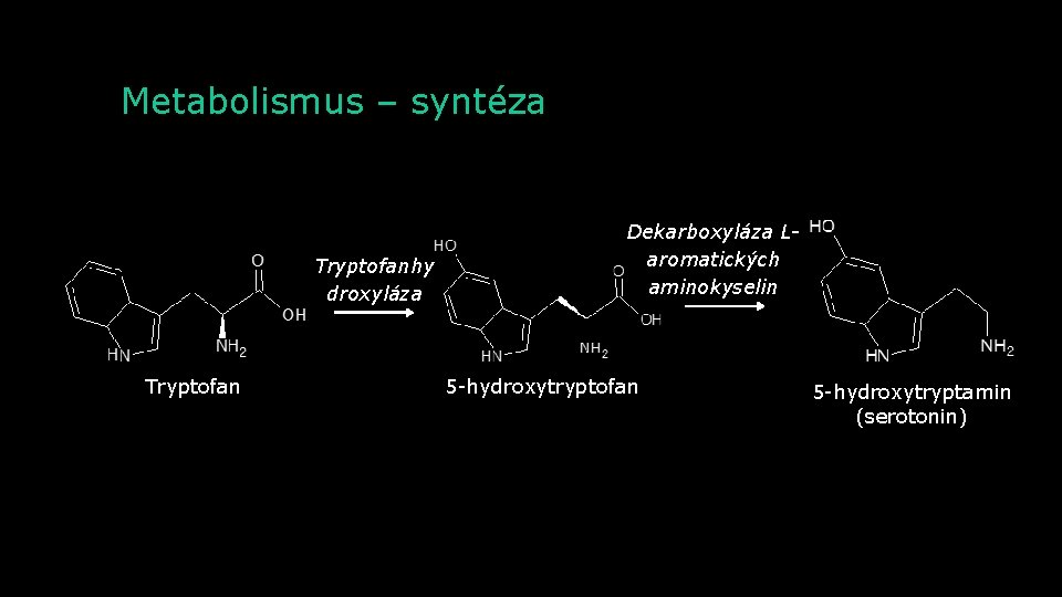 Metabolismus – syntéza Tryptofanhy droxyláza Tryptofan Dekarboxyláza Laromatických aminokyselin 5 -hydroxytryptofan 5 -hydroxytryptamin (serotonin)