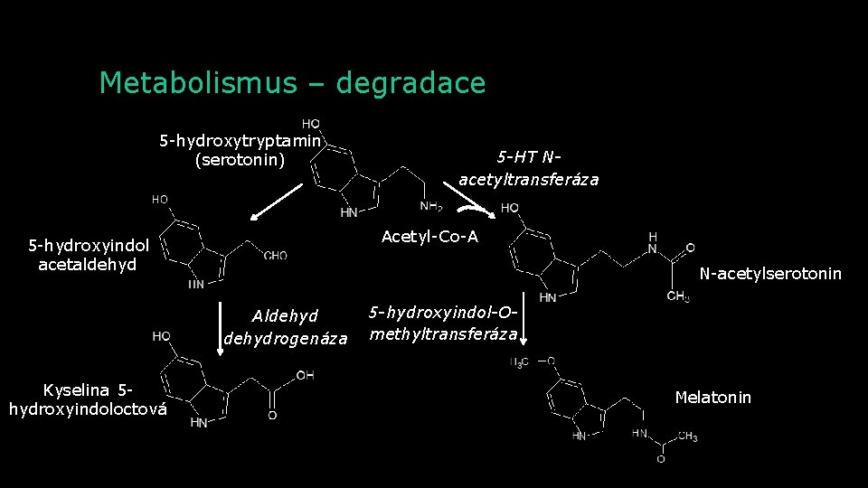 Metabolismus – degradace 5 -hydroxytryptamin (serotonin) Acetyl-Co-A 5 -hydroxyindol acetaldehyd N-acetylserotonin Aldehydrogenáza Kyselina 5