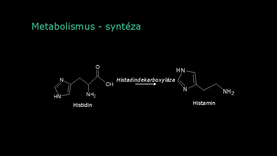 Metabolismus - syntéza Histadindekarboxyláza Histidin Histamin 