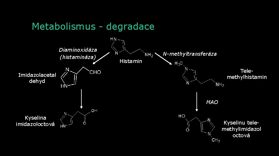 Metabolismus - degradace Diaminoxidáza (histamináza) N-methyltransferáza Histamin Telemethylhistamin Imidazolacetal dehyd MAO Kyselina imidazoloctová Kyselinu