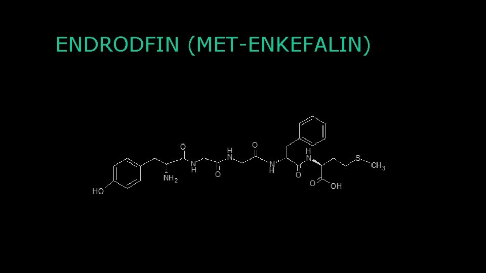 ENDRODFIN (MET-ENKEFALIN) 