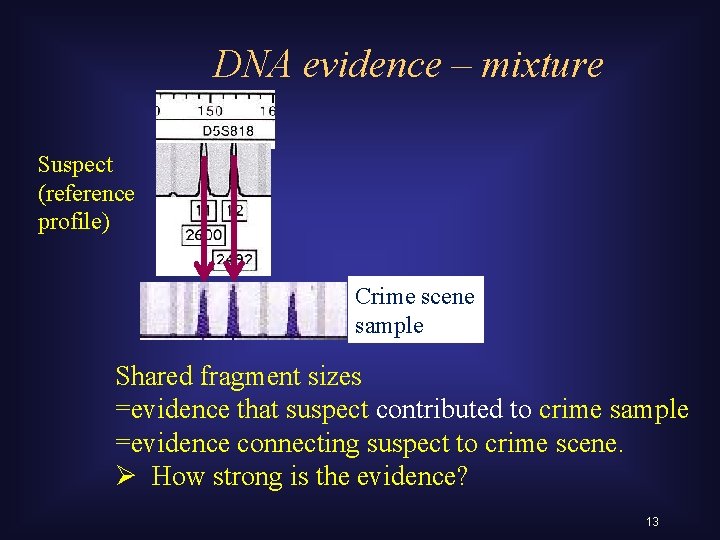 DNA evidence – mixture Suspect (reference profile) Crime scene sample Shared fragment sizes =evidence