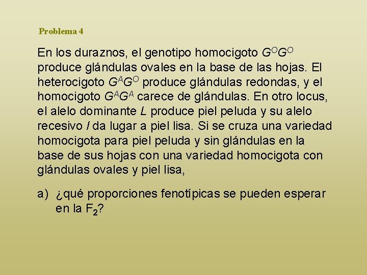 Problema 4 En los duraznos, el genotipo homocigoto GOGO produce glándulas ovales en la