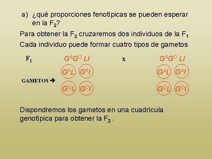 a) ¿qué proporciones fenotípicas se pueden esperar en la F 2? Para obtener la