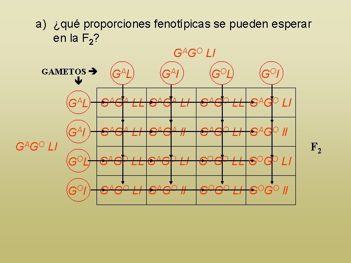 a) ¿qué proporciones fenotípicas se pueden esperar en la F 2? GAGO Ll GAMETOS