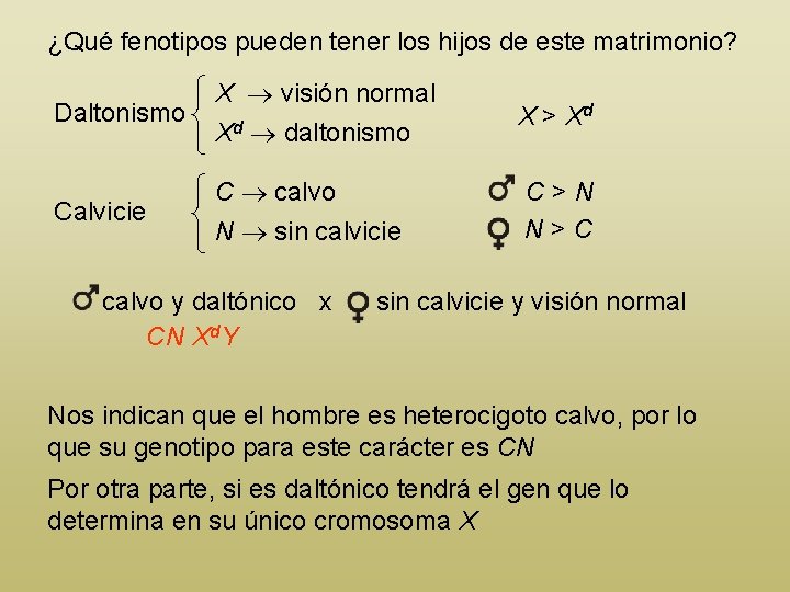 ¿Qué fenotipos pueden tener los hijos de este matrimonio? Daltonismo X visión normal Xd