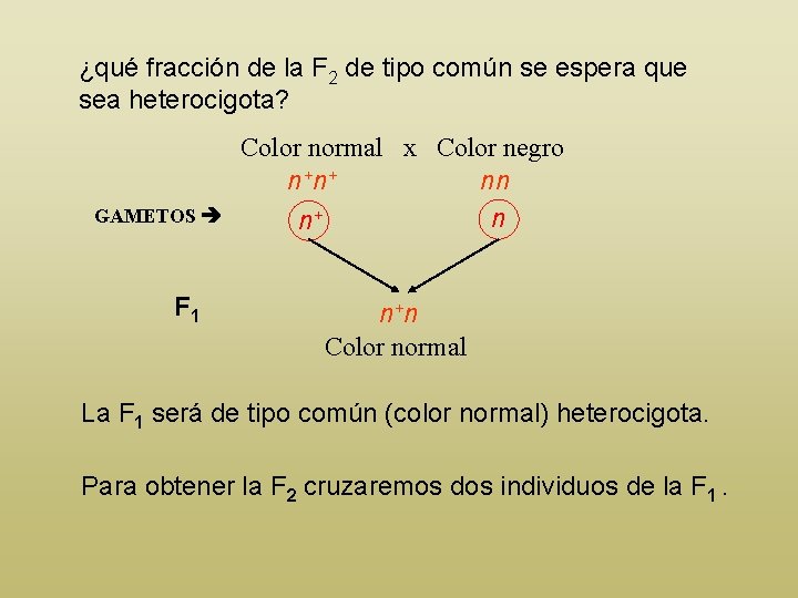 ¿qué fracción de la F 2 de tipo común se espera que sea heterocigota?