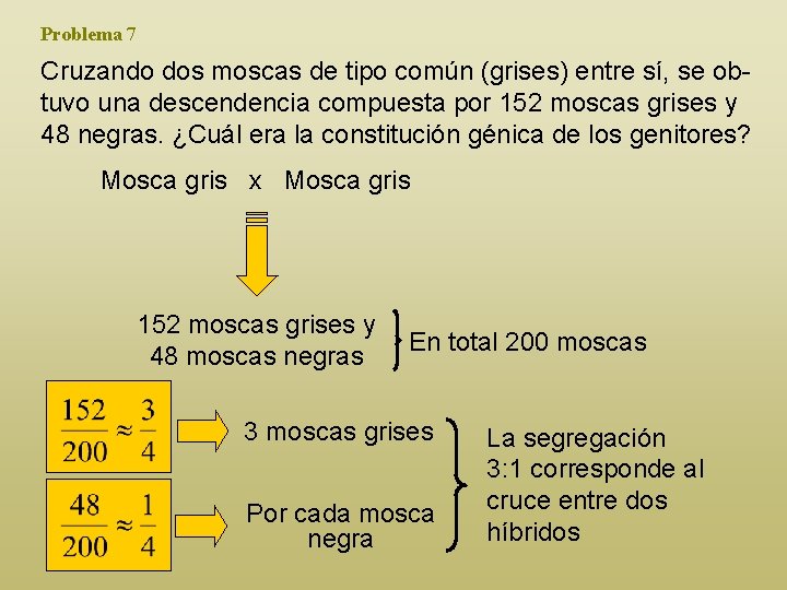 Problema 7 Cruzando dos moscas de tipo común (grises) entre sí, se obtuvo una