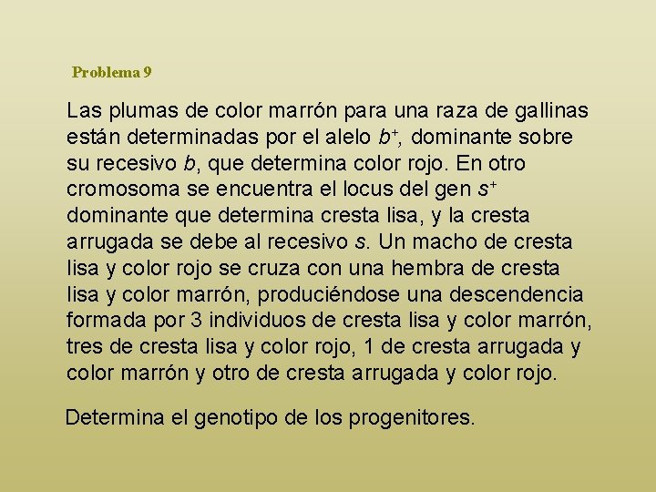 Problema 9 Las plumas de color marrón para una raza de gallinas están determinadas