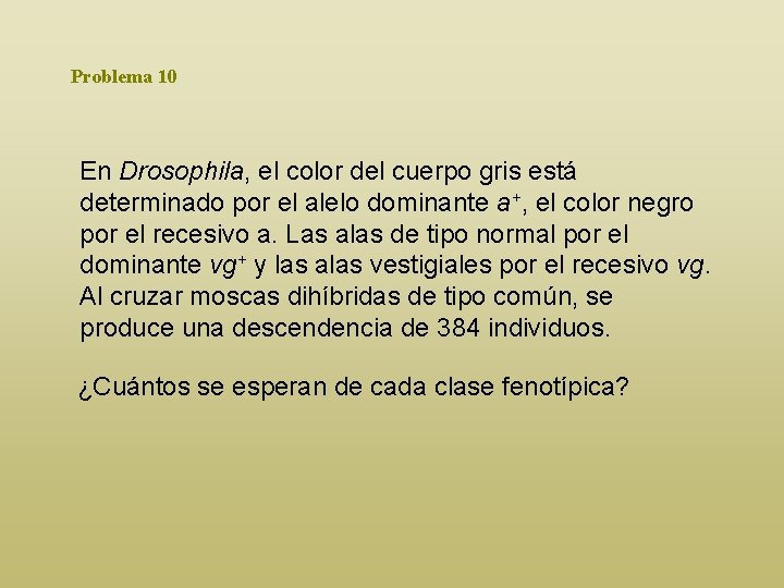 Problema 10 En Drosophila, el color del cuerpo gris está determinado por el alelo