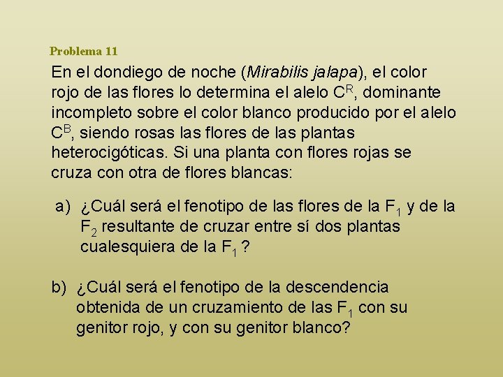 Problema 11 En el dondiego de noche (Mirabilis jalapa), el color rojo de las