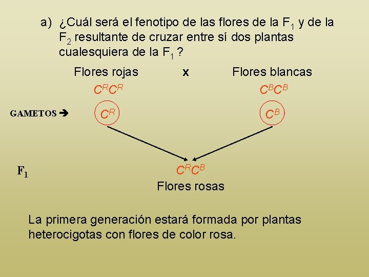 a) ¿Cuál será el fenotipo de las flores de la F 1 y de